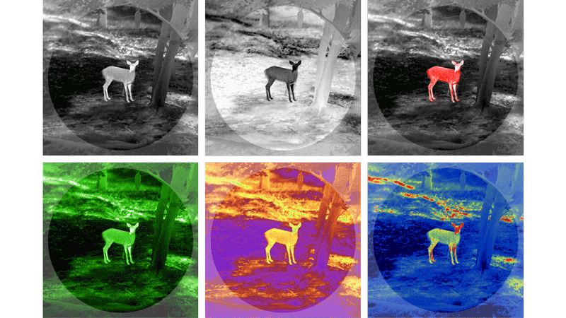 Exploring Heat Detection Binoculars: What Is The Difference Between Thermal And Night Version Binoculars?