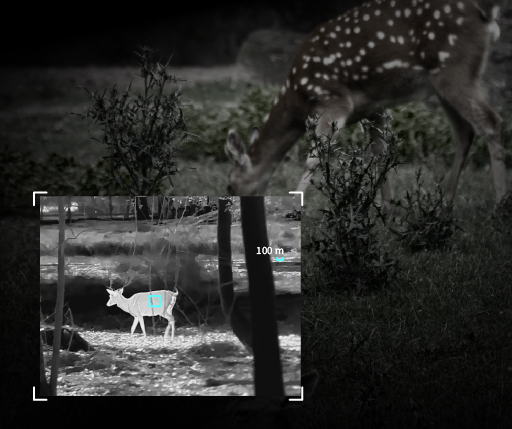 Why Hunters Rely on Thermal Clip-On Devices in the Field