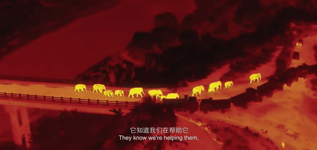 image 13515316.png