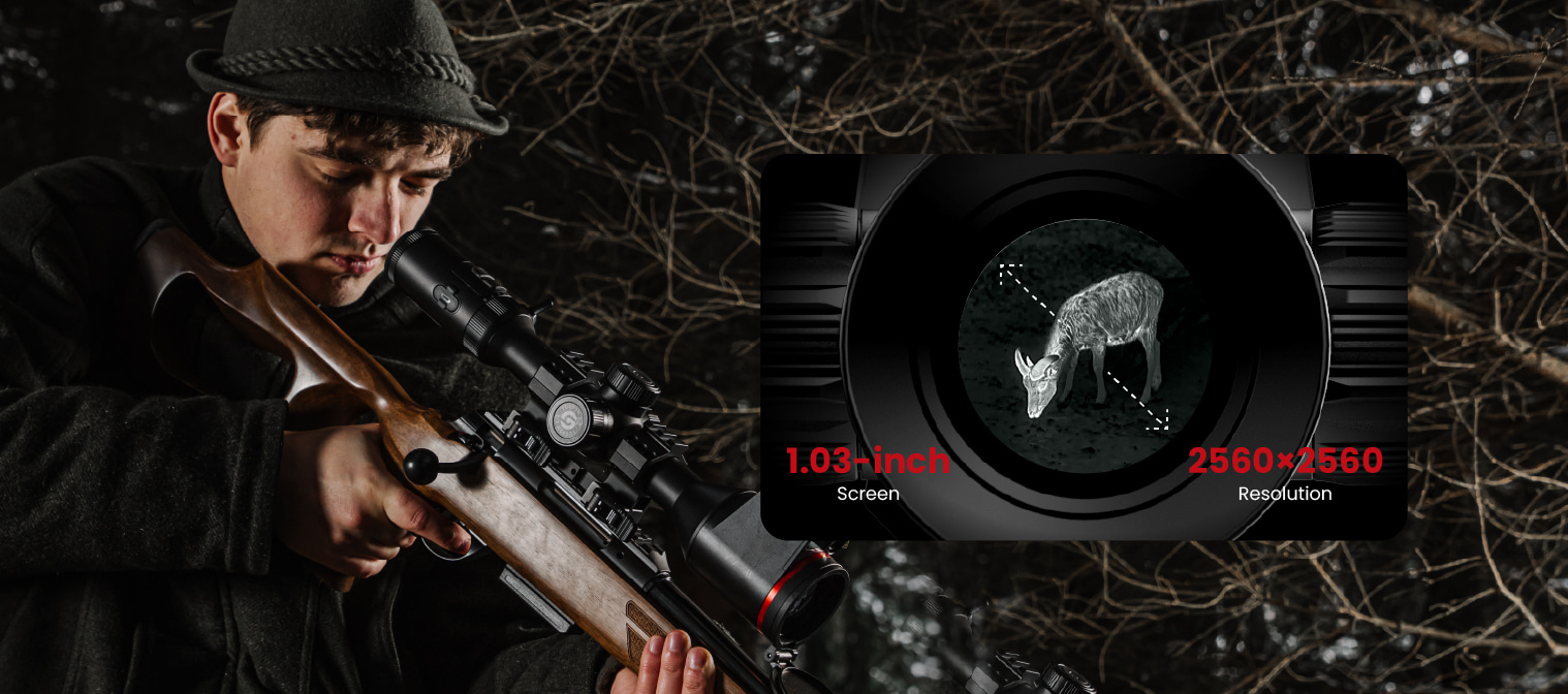 QHD AMOLED Display<br>Comfortable Viewing