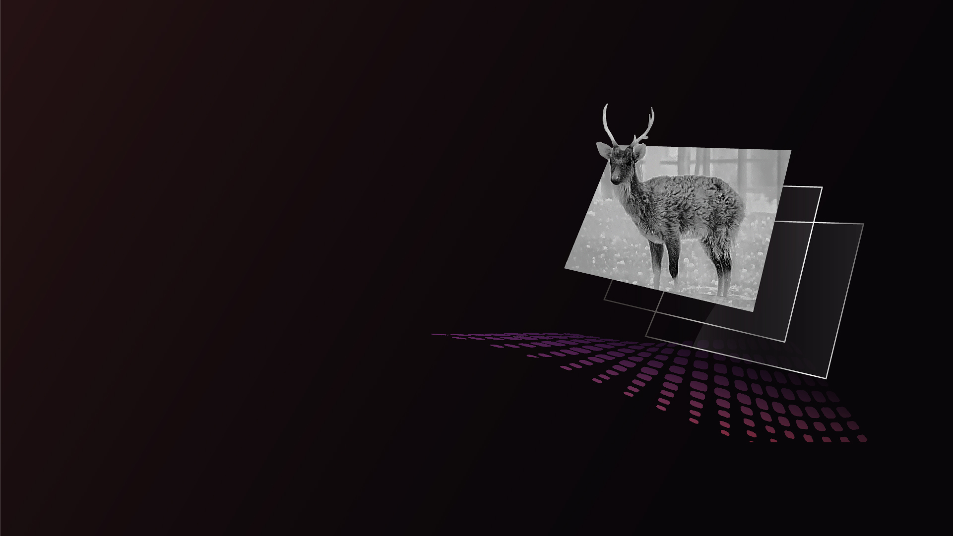 1920x1080 AMOLED Display