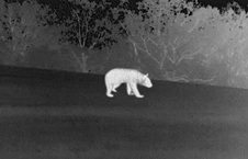 How to Improve Thermal Imaging Quality: Simple Tips for Better Thermal Footage