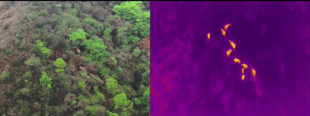 How Guide Witness the Harmony Between Humanity and Nature