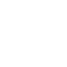 Zoom ring