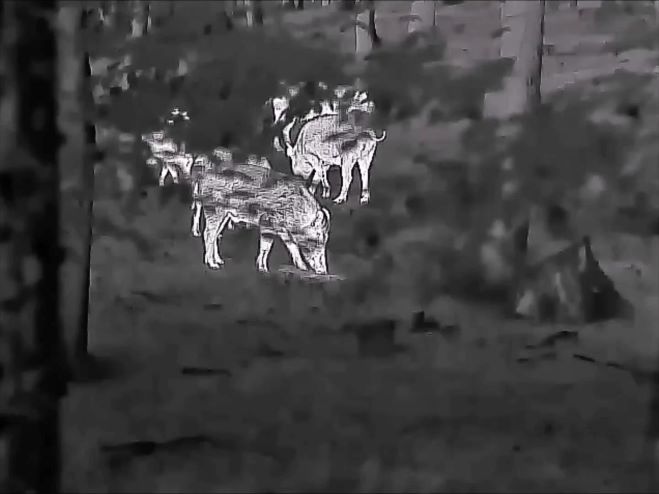 Night Vision Thermal Imaging Camera: Application and Selection of Infrared Night Vision Camera and Thermal Imager Monocular