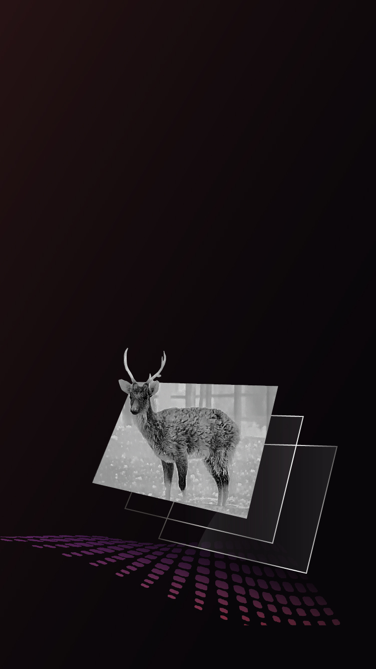 1920x1080 AMOLED Display
