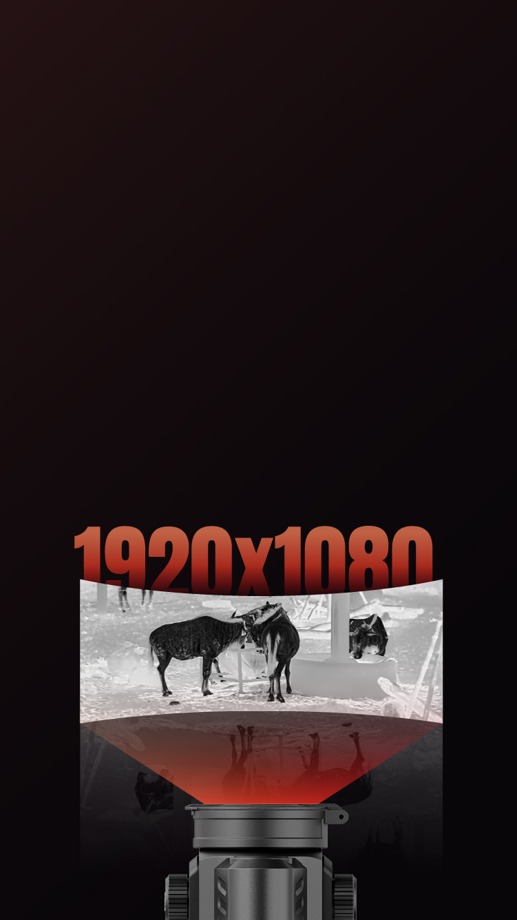FuII-HD 1920x1080 AMOLED display