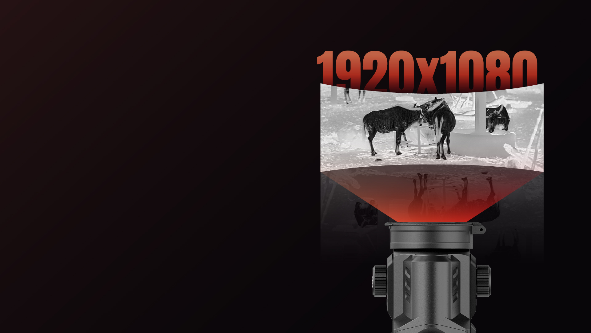 FuII-HD 1920x1080 AMOLED display